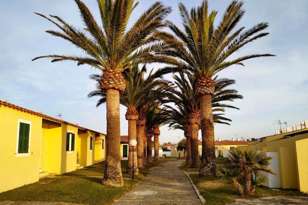 Apartamento 7 Palmeras Ciutadella  Dış mekan fotoğraf